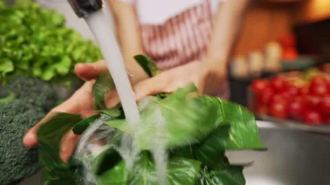 Hands washing spinach. Video stock 169437609
