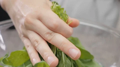 Hands washing spinach. Slow motion Stock Footage 116687559