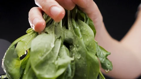 Hands washing spinach. Slow motion Stock Footage 116687690