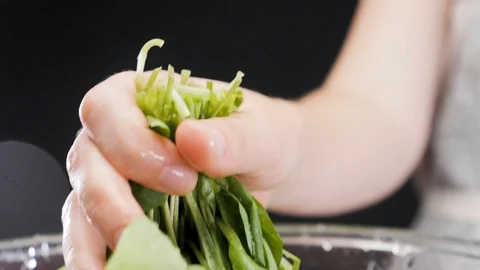 Hands washing spinach. Slow motion Stock Footage 116687717