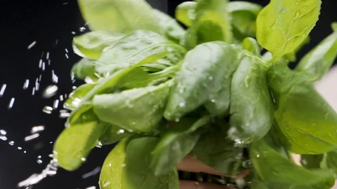 Hands washing spinach. Slow motion Stock Footage 116687760