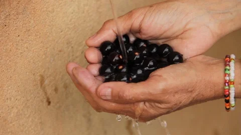 Hands water cleaning acai fruit superfood açai berry seeds Stock Footage 101035935