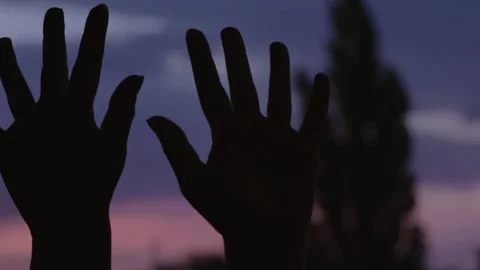 Hands waving in the sunset Stock Footage 135458287