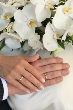 Hands with wedding rings Stock Photos