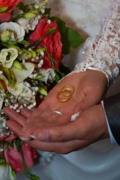 Hands with wedding rings Stock Photos