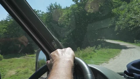 Hands on the Wheel: Peaceful Drive Through the Woods Stock Footage 304578025