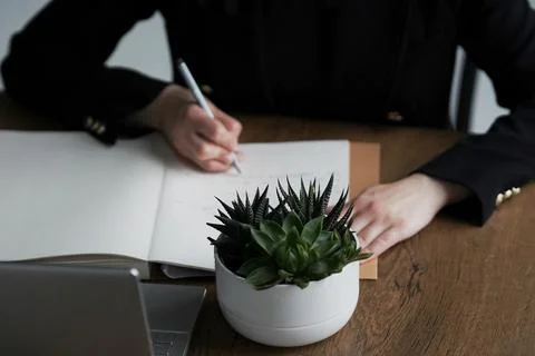 Hands while typing on laptop computer with green plant ahead Stock Photos