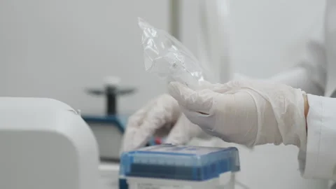 Hands in white gloves taking out tips for pipette from a package. Stock Footage 294564292
