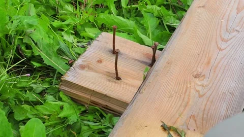 Hands in work gloves with the help of scrap pull rusty nails from a wooden board Vídeo Stock 137656748