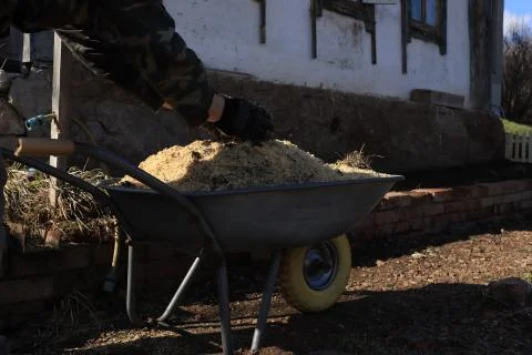 Hands in work gloves throw sawdust on a one wheeled cart Stock Photos