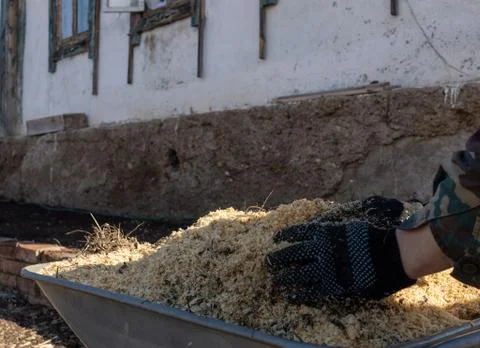 Hands in work gloves throw sawdust on a one wheeled cart Stock Photos