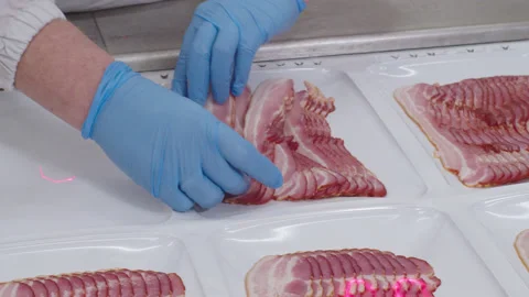 Hands of worker lay out bacon in tray. Stock Footage 205489878