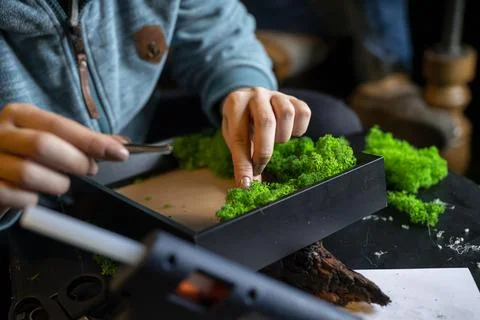 Hands working on a moss painting, Stock Photos