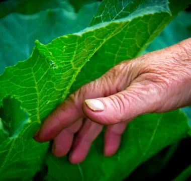 Hands working Stock Photos