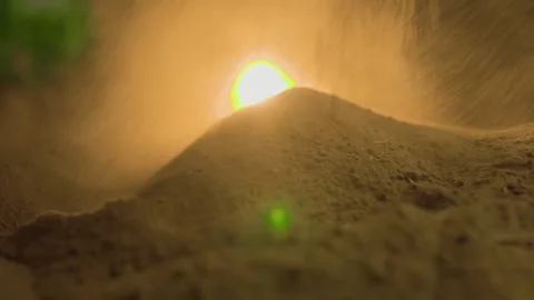 Hands working the soil under a bright sun in a garden setting Stock Footage 302402062