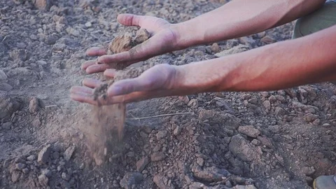 The hands of the young farmer keep fertile soil on the field. Organic Products Stock Footage 101202761