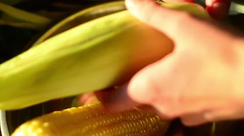 Hands of Young Girl Opening Ear of Corn. Beautiful Food Background Видео 59086280