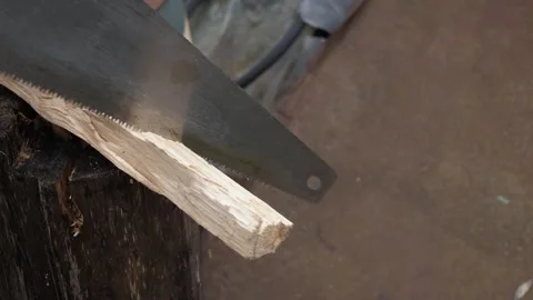 Handsaw cutting square log Stock Footage 342867880
