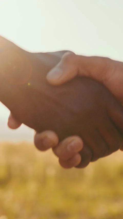 Handshake of Agreement Stock Footage 318658334