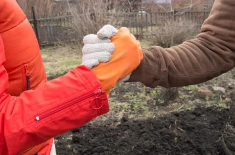 Handshake on the background of the soil men and women in work gloves Stock Photos