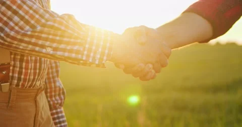Handshake between the farmers at the field during the examining harvest. Two Stock Footage 157644626