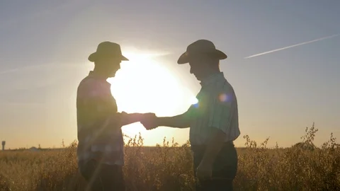 Handshake Of Farmer And Worker In Hat In Agricultural Field Background Sunset 스톡 동영상 104810291