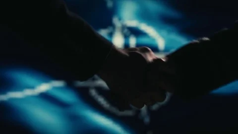Handshake. Multiple takes. NATO flag on LED background. Stock Footage 81016044