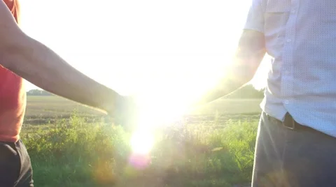 Handshake of People in the Field Stock Footage 69068204