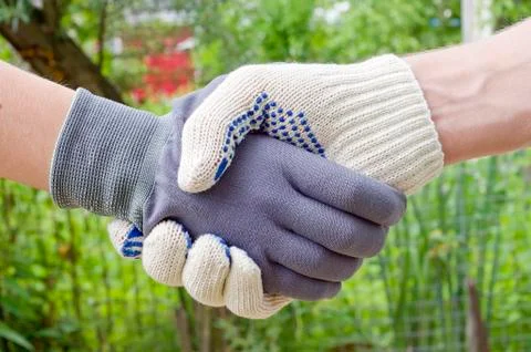 Handshake Stock Photos