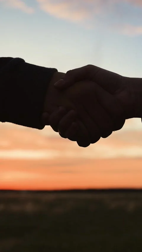 Handshake at sunset, silhouette in park field. Making deal teamwork cooperation Stock Footage 297933723