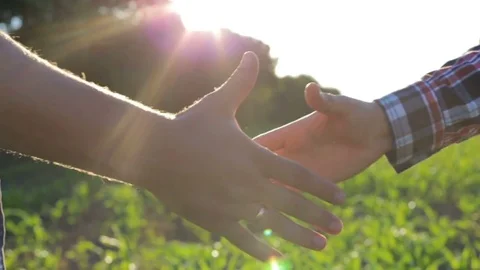 Handshake of two farmers on the field Stock Footage