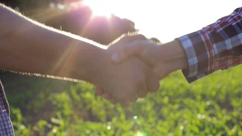 Handshake of two farmers on the field Stock Footage 77267900