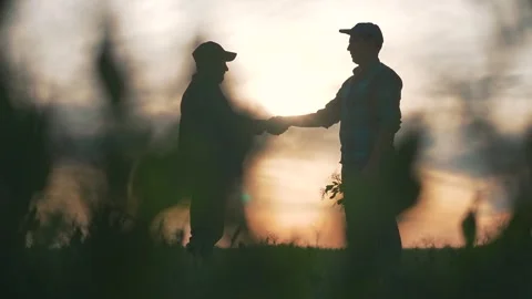 Handshake under sunset field builds partnership teamwork. Farmer man join forces Stock Footage 319252809