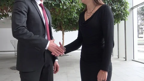 Handshakes between two leaders Stock Footage 126231826
