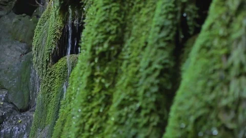 Handshot on the waterfalls drops Stock-Footage 83042771
