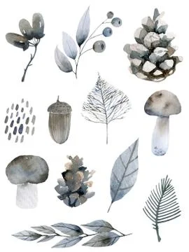 Handsketched elements of northern forest. Hand drawn nordic set. collection of 库存插图
