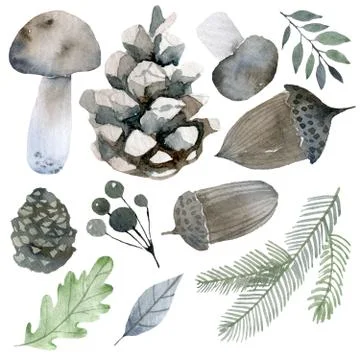 Handsketched elements of northern forest. Hand drawn nordic set. collection of 库存插图