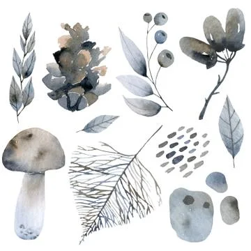 Handsketched elements of northern forest. Hand drawn nordic set. collection of Stockillustratie