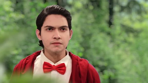 Handsome actor in red suit with forest background Stock Footage 197407281