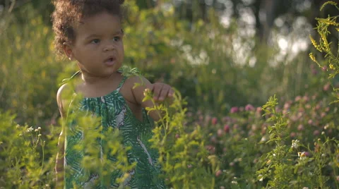 Handsome African-American child in the green grass on the nature Stock Footage