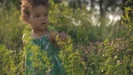Handsome African-American Child In The Green Grass On The Nature Stock Footage
