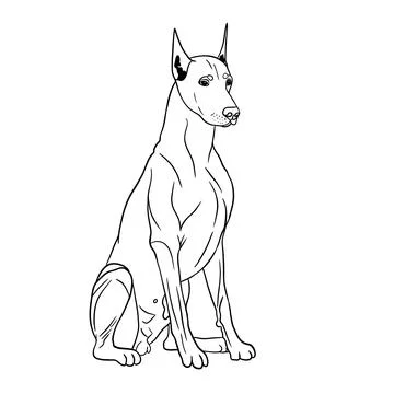 Handsome and important doberman Illustrazione stock