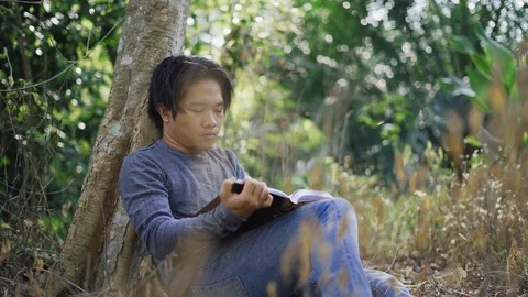 Handsome Asian young man sitting under tree, reading a book Stock Footage 93334486