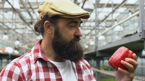 Handsome bearded farmer smelling pepper in greenhouse, agriculture business 動画素材 119296907