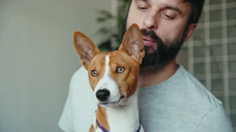 Handsome bearded man hugging and playing with his cute best friend brown basenji 스톡 동영상 137720824
