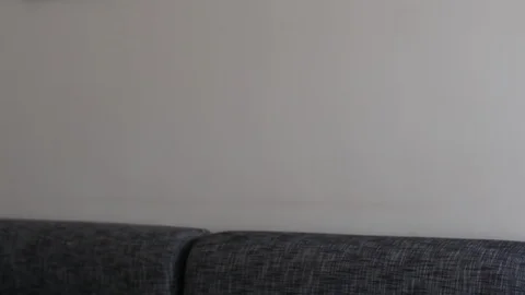 Handsome Bearded Man sitting down and preparing for interview. Very cool smile o Stock Footage 112031058