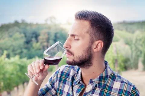 Handsome bearded man sniffs glass of wine before drinking Stock Photos