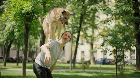 A handsome bearded man training his smart dog Stock Footage 155815512