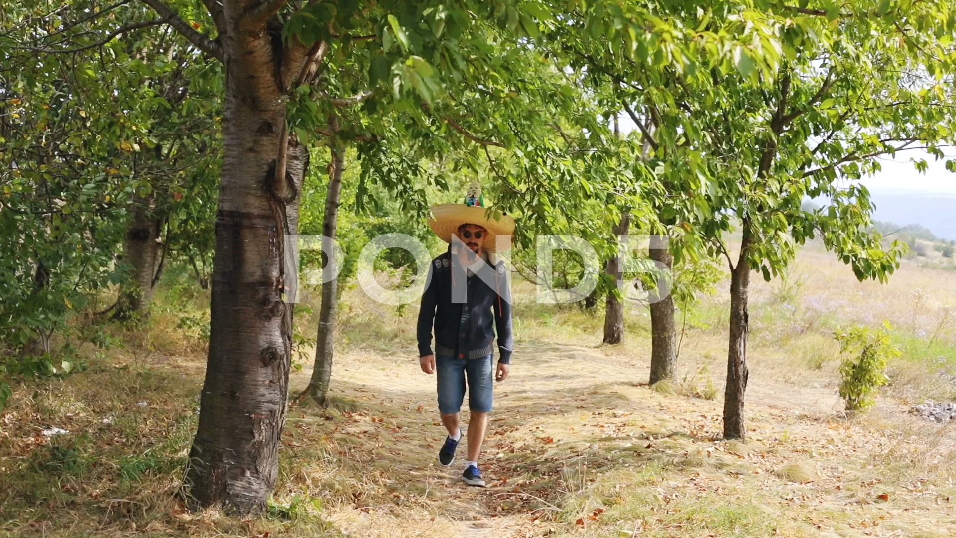 Handsome bearded Mexican guy wearing sombrero and sunglasses walking  straight