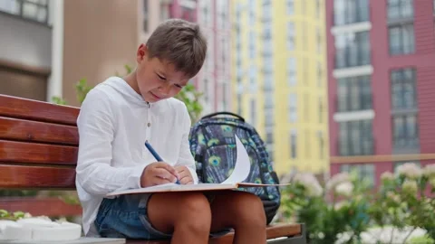 Handsome Boy Reluctantly Doing his Homework Sitting on a Bench After School. Stock-Footage 249211744